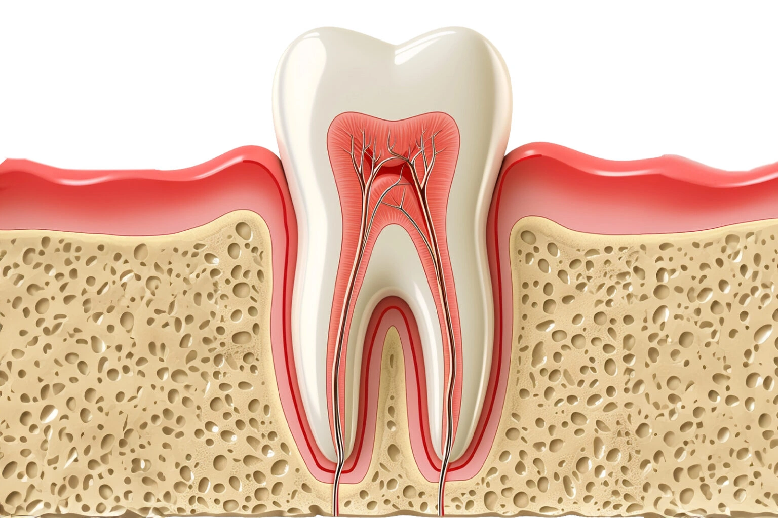 Root canal endodontic treatment at National Medical Center Satwa Dubai